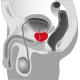 Rotační stimulátor prostaty Prostate Massager