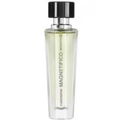 Pánský parfém s feromony MAGNETIFICO Seduction, 30 ml